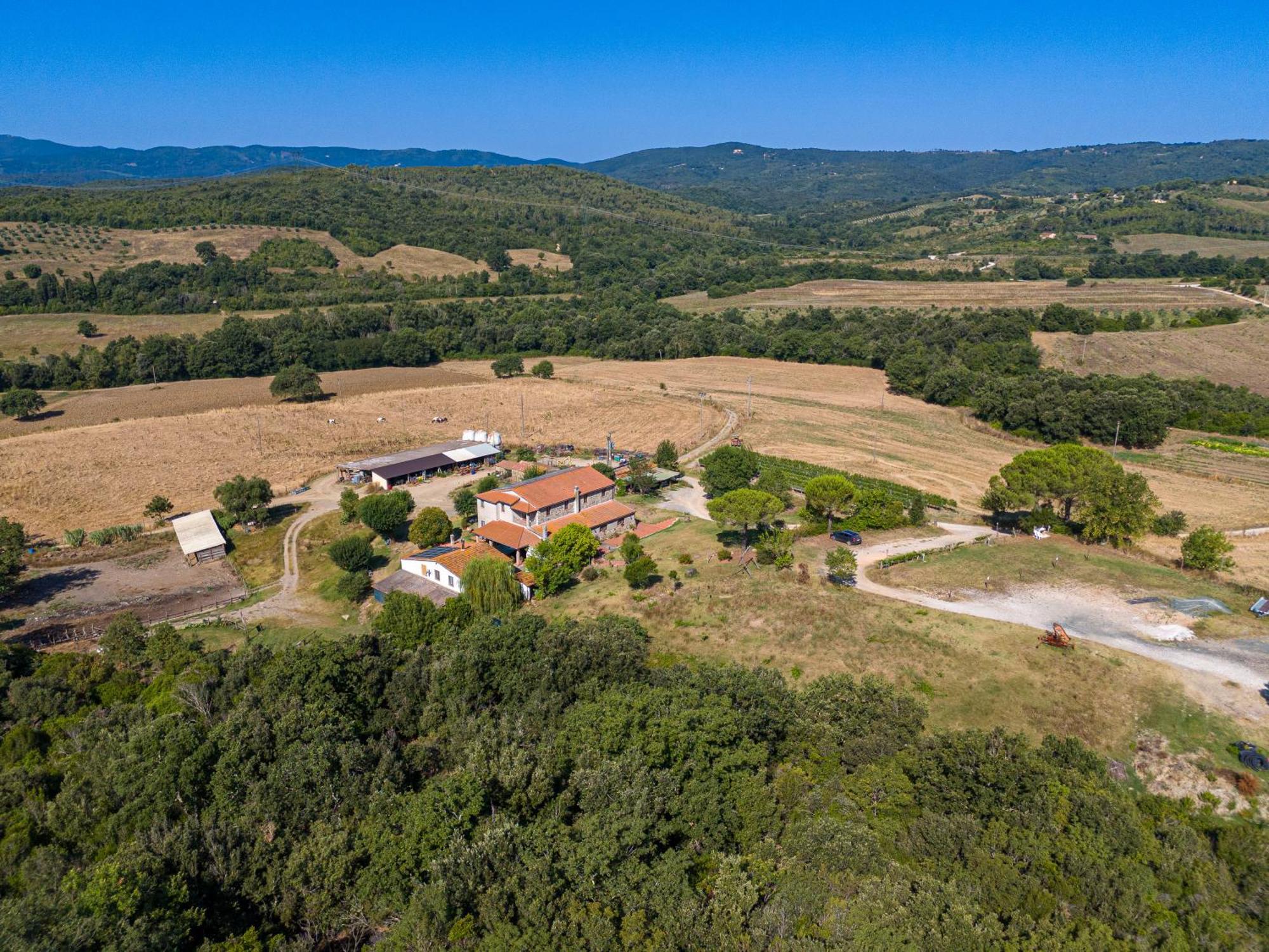 Agriturismo Tenuta Sant'Agnese Monteverdi Marittimo Luaran gambar