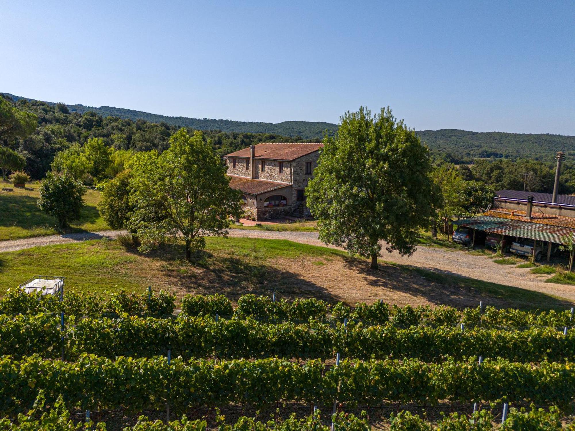Agriturismo Tenuta Sant'Agnese Monteverdi Marittimo Luaran gambar